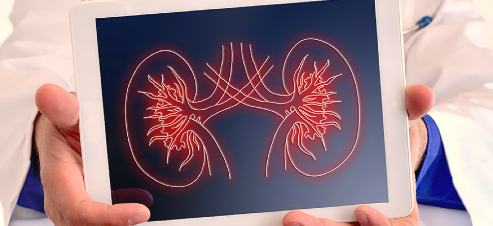 Glomerulonefritis.jpg